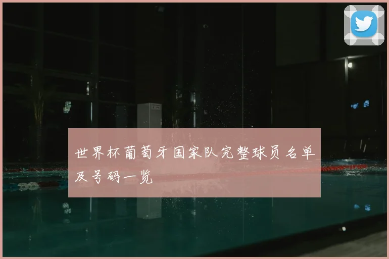 世界杯葡萄牙国家队完整球员名单及号码一览