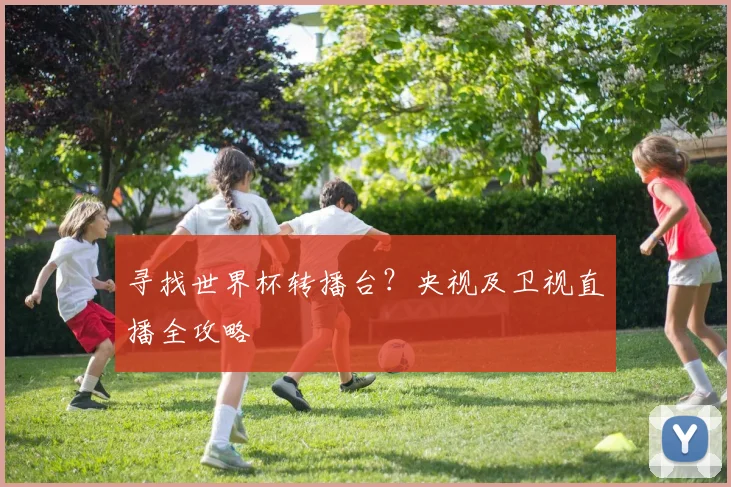 寻找世界杯转播台?央视及卫视直播全攻略