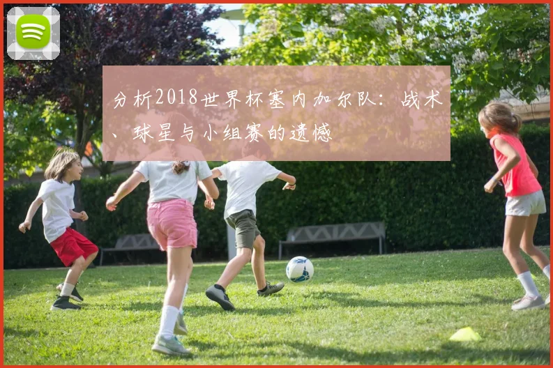 分析2018世界杯塞内加尔队：战术、球星与小组赛的遗憾