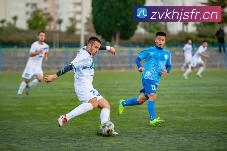 多媒体互动体验